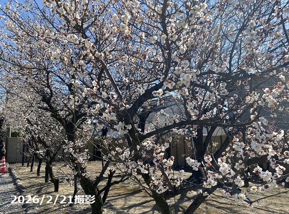 上野天満宮（名古屋市千種区）