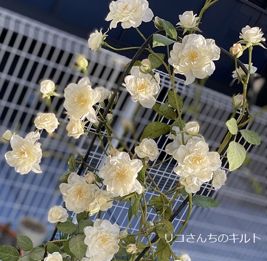 自宅にあるフラワーアレンジメント