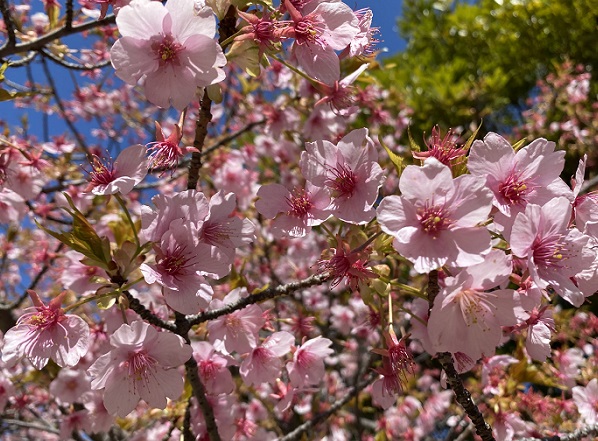 大府みどり公園