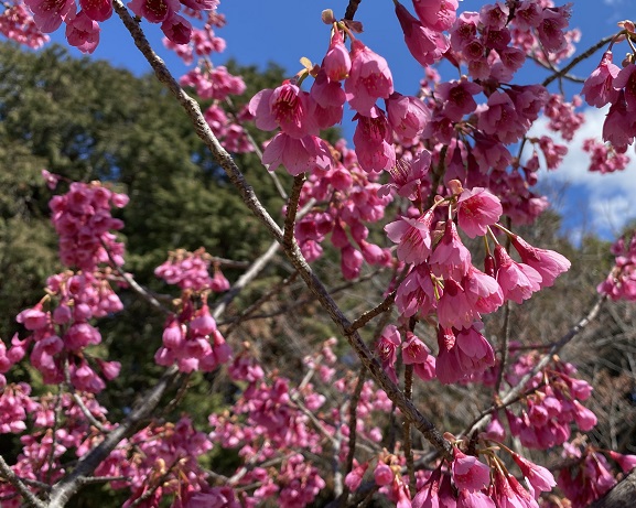 大府みどり公園