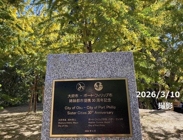 大府みどり公園ミモザの森（2026年3月10日）