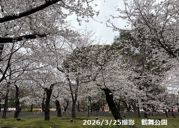 鶴舞公園（名古屋市）2026年3月25日撮影