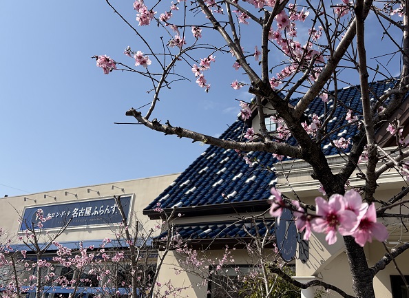 名古屋ふらんすあさひ長久手店