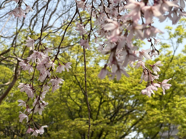 ノリタケの森の庭