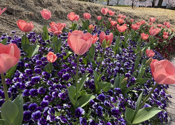 ノリタケの森の庭