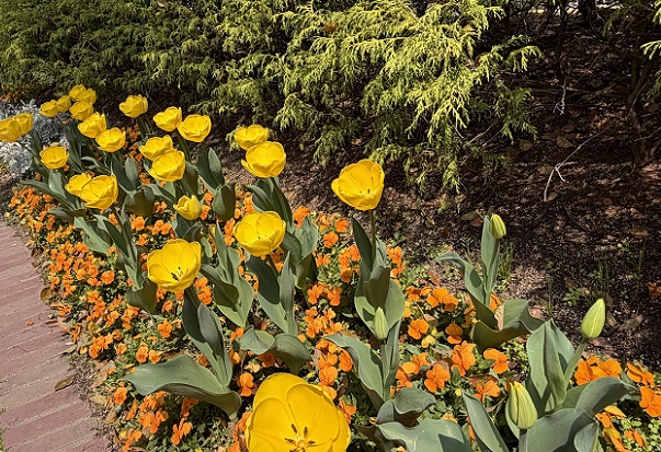 ノリタケの森の庭