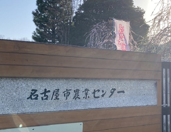 名古屋市農業センターしだれ梅まつり（2026年3月5日来園）