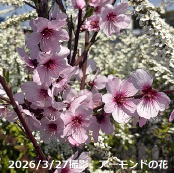 名古屋ふらんすあさひ長久手店