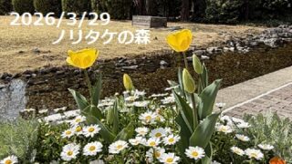 ノリタケの森の庭（2026年3月29日）