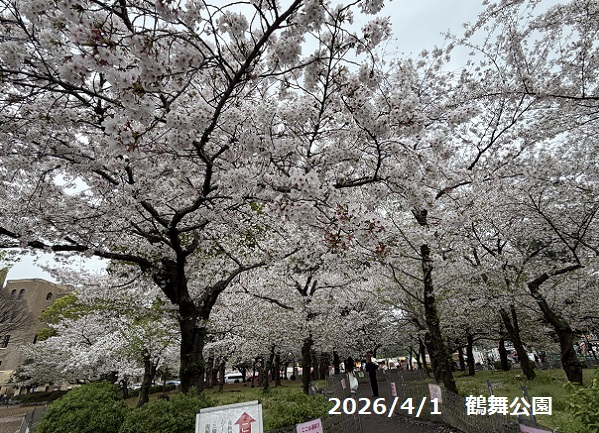 名古屋市の鶴舞公園（2026年4月1日）