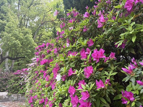 鶴舞中央図書館(名古屋市)