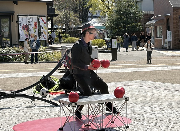 鶴舞公園桜まつりのイベント(2026年4月2日)