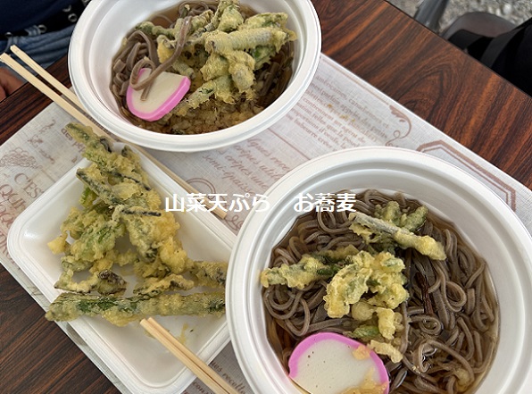 長野県阿智村月川温泉郷の花桃の里（2026年4月19日満開）