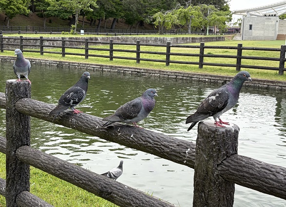 天王川公園（愛知県津島市）
