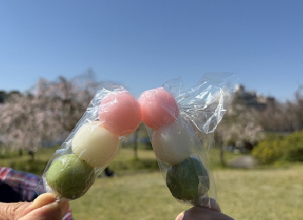 東谷山フルーツパークのシダレサクラ祭(2026年4月8日)