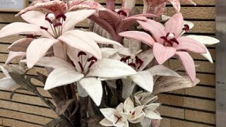 第2回リコさんちのキルト展開催中展示の布花