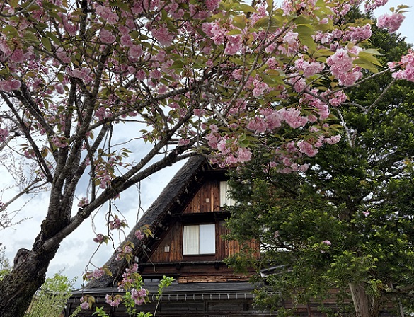 白川郷荻町合掌造り集落