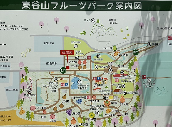 東谷山フルーツパーク（名古屋市守山区）