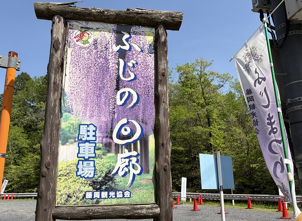 豊田市御作町の藤の回廊（2026年5月2日）
