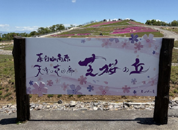 茶臼山高原の芝桜の丘(愛知県)2026年5月29日