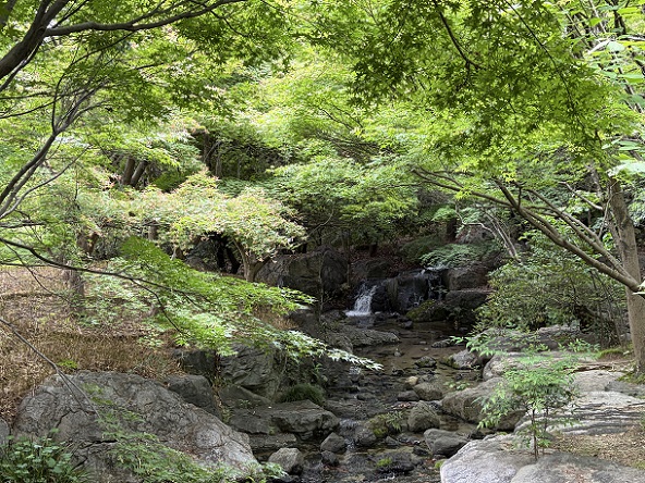 白鳥庭園（名古屋市）2026年5月6日