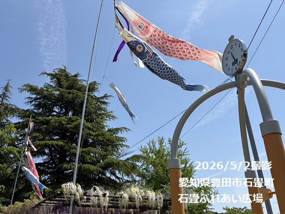 豊田市石畳広場のこいのぼり