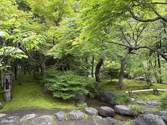 白鳥庭園（名古屋市）2026年5月6日