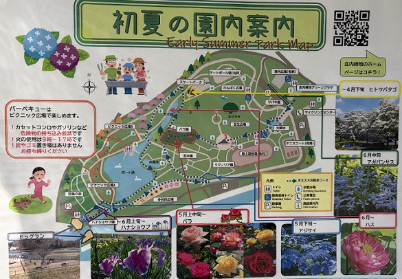 庄内緑地公園（名古屋市西区）