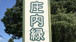 庄内緑地公園（名古屋市西区）2026年5月7日撮影