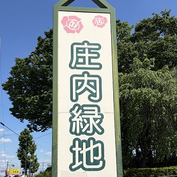 庄内緑地公園（名古屋市西区）2026年5月7日撮影
