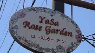 YASAローズガーデン（豊田市）2026年5月10日訪問