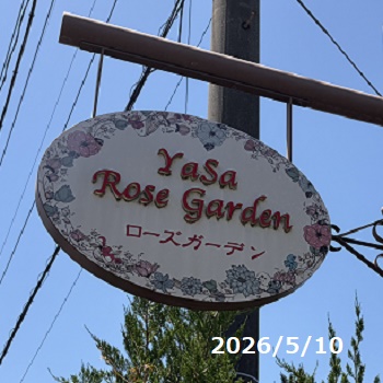 YASAローズガーデン（豊田市）2026年5月10日訪問