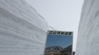 立山黒部アルペンルートあ（雪の回廊ウオーク）2026年4月29日