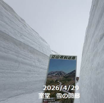 立山黒部アルペンルートあ（雪の回廊ウオーク）2026年4月29日