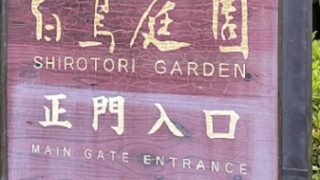 白鳥庭園（名古屋市）