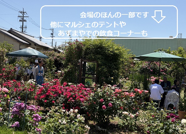 YASAローズガーデン（豊田市）2026年5月10日訪問