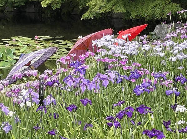2026年5月31日の徳川園