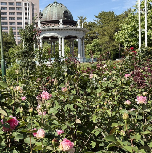 鶴舞公園（名古屋市昭和区）2026年6月11日