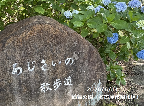 鶴舞公園（名古屋市昭和区）2026年6月11日