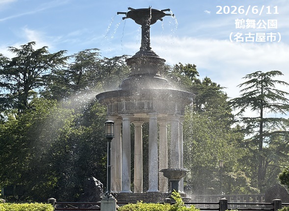 鶴舞公園（名古屋市昭和区）2026年6月11日