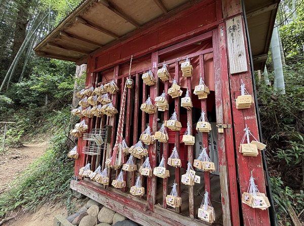 極楽寺(あじさいでら)静岡県周智郡森町一の宮(2026年6月16日)
