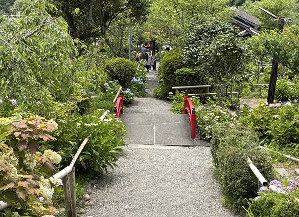極楽寺(あじさいでら)静岡県周智郡森町一の宮(2026年6月16日)