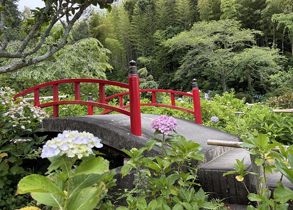極楽寺(あじさいでら)静岡県周智郡森町一の宮(2026年6月16日)