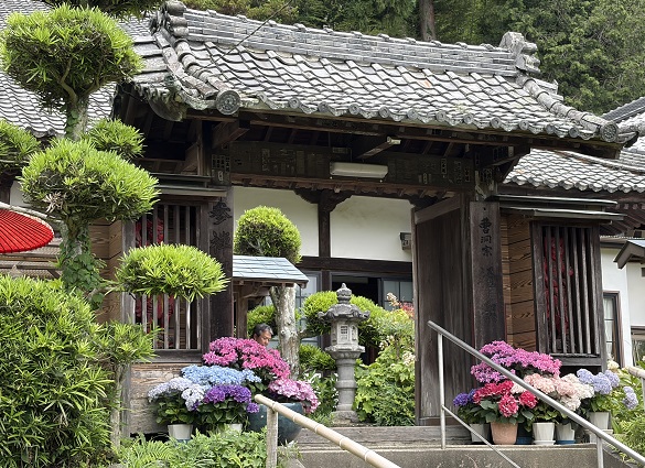 極楽寺(あじさいでら)静岡県周智郡森町一の宮(2026年6月16日)