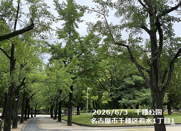 千種公園（名古屋市）