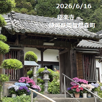 極楽寺（遠州森町あじさいでら）