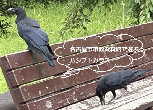 名古屋市市市政資料館のカラス