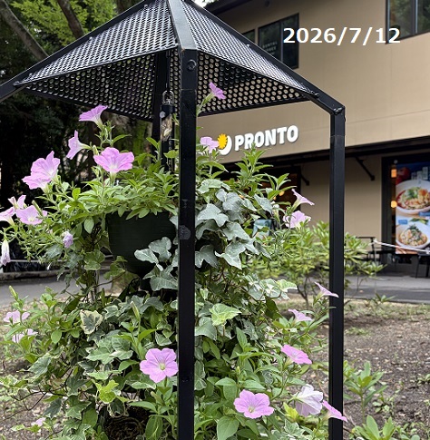 鶴舞公園(2026年7月12日撮影)