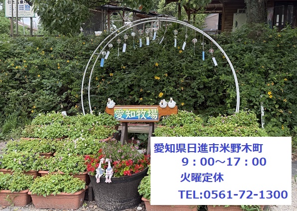 愛知牧場(2026年7月13日)