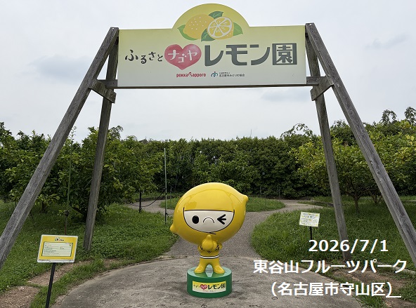 東谷山フルーツパークでのレモン園(2026年7月1日)